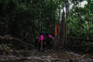 BIB: 
                            <button type="button" onclick="openModal(26025291)" class="btn btn-primary btn-sm float-right btn-popup" data-toggle="modal" data-target=".modal-high-quality">
                        <i class="fas fa-shopping-cart"></i> Add to Cart
                    </button>
                                            <button type="button" onclick="isThisMe(26025291, true)" class="btn btn-success btn-sm float-right btn-popup btn-isme hidden" data-toggle="tooltip" data-placement="bottom" title="นี่คือรูปของคุณใช่ไหม คลิกที่นี่เพื่อเอาเข้าอัลบั้ม">
                        <i class="fas fa-plus"></i> Add to album
                    </button>
                    <button type="button" onclick="isThisMe(26025291, false)" class="btn btn-warning btn-sm float-right btn-popup btn-isnotme hidden">
                        <i class="fas fa-ban"></i> Remove from album
                    </button>